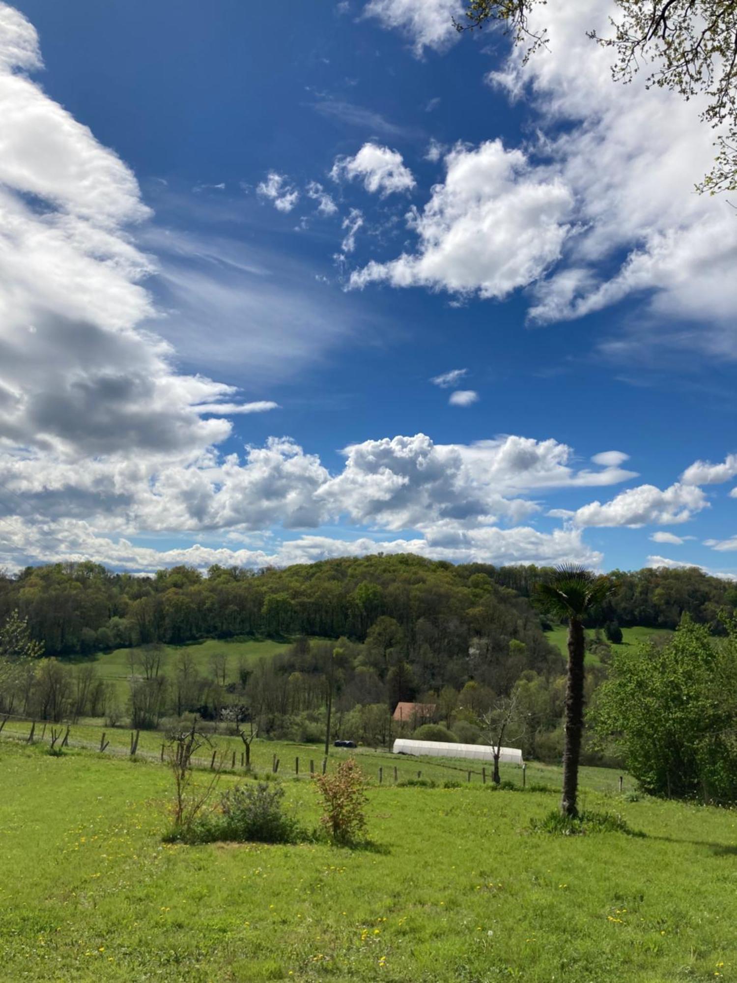 Domaine Labouroume Hotel Salies-de-Béarn Buitenkant foto
