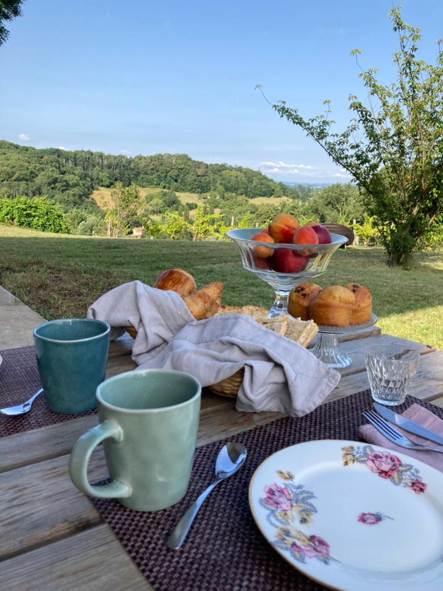 Domaine Labouroume Hotel Salies-de-Béarn Buitenkant foto